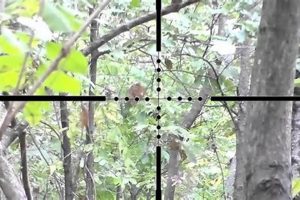 Record Your Shots: Airsoft Sniper Camera Guide & Review Safem Fabrication - Precision Engineering & Custom Manufacturing Solutions Record Your Shots: Airsoft Sniper Camera Guide & Review | Safem Fabrication - Precision Engineering & Custom Manufacturing Solutions