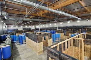 Airsoft Extreme Arena Safem Fabrication - Precision Engineering & Custom Manufacturing Solutions Airsoft Extreme Arena | Safem Fabrication - Precision Engineering & Custom Manufacturing Solutions