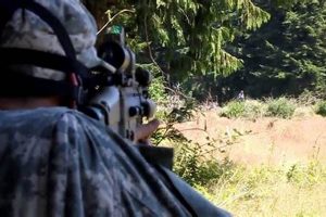 Guide to Airsoft Fields in Washington State 2024 Safem Fabrication - Precision Engineering & Custom Manufacturing Solutions Guide to Airsoft Fields in Washington State 2024 | Safem Fabrication - Precision Engineering & Custom Manufacturing Solutions