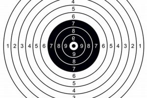 Best Airsoft Targets: For Accuracy & Training Fun! Safem Fabrication - Precision Engineering & Custom Manufacturing Solutions Best Airsoft Targets: For Accuracy & Training Fun! | Safem Fabrication - Precision Engineering & Custom Manufacturing Solutions