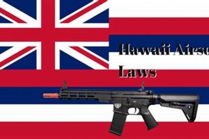 Guide to Hawaii Airsoft Laws + Regulations Safem Fabrication - Precision Engineering & Custom Manufacturing Solutions Guide to Hawaii Airsoft Laws + Regulations | Safem Fabrication - Precision Engineering & Custom Manufacturing Solutions