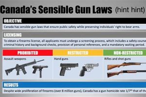 Guide to Airsoft Gun Laws Canada: Rules & Safety Safem Fabrication - Precision Engineering & Custom Manufacturing Solutions Guide to Airsoft Gun Laws Canada: Rules & Safety | Safem Fabrication - Precision Engineering & Custom Manufacturing Solutions