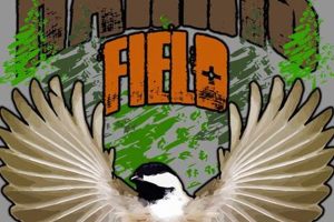 Play Airsoft: Maine Airsoft Fields Near You - Fun! Safem Fabrication - Precision Engineering & Custom Manufacturing Solutions Play Airsoft: Maine Airsoft Fields Near You - Fun! | Safem Fabrication - Precision Engineering & Custom Manufacturing Solutions