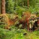 Become the Ultimate Airsoft Sniper: Ghillie Suit Tactics! | Ultimate Airsoft Guide for Beginners, Tactics & Gear Reviews