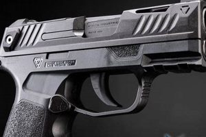 Airsoft Gas: P365 Green Gas Guide + Tips & Tricks Safem Fabrication - Precision Engineering & Custom Manufacturing Solutions Airsoft Gas: P365 Green Gas Guide + Tips & Tricks | Safem Fabrication - Precision Engineering & Custom Manufacturing Solutions