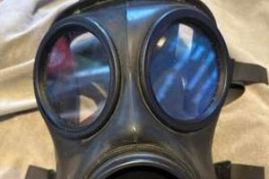 SAS Gas Mask Airsoft: Tactical Protection + Style Safem Fabrication - Precision Engineering & Custom Manufacturing Solutions SAS Gas Mask Airsoft: Tactical Protection + Style | Safem Fabrication - Precision Engineering & Custom Manufacturing Solutions
