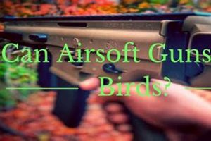 Airsoft FPS: Can a 300 FPS Airsoft Gun Kill a Bird? Dangers Safem Fabrication - Precision Engineering & Custom Manufacturing Solutions Airsoft FPS: Can a 300 FPS Airsoft Gun Kill a Bird? Dangers | Safem Fabrication - Precision Engineering & Custom Manufacturing Solutions
