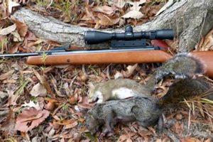 Will Airsoft Guns Kill Squirrels Safem Fabrication - Precision Engineering & Custom Manufacturing Solutions Will Airsoft Guns Kill Squirrels | Safem Fabrication - Precision Engineering & Custom Manufacturing Solutions