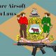 Delaware Airsoft Laws: Play Safe, Stay Legal 2024 | Ultimate Airsoft Guide for Beginners, Tactics & Gear Reviews