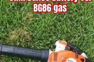 Electric Airsoft vs Gas: Battery Power vs Realism? Ultimate Airsoft Guide for Beginners, Tactics & Gear Reviews Electric Airsoft vs Gas: Battery Power vs Realism? | Ultimate Airsoft Guide for Beginners, Tactics & Gear Reviews