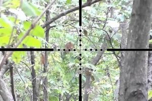 Record Your Shots: Airsoft Sniper Camera Guide & Review Ultimate Airsoft Guide for Beginners, Tactics & Gear Reviews Record Your Shots: Airsoft Sniper Camera Guide & Review | Ultimate Airsoft Guide for Beginners, Tactics & Gear Reviews