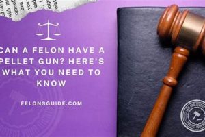 Felon & Airsoft Guns: Can a Felon Own One Legally? Ultimate Airsoft Guide for Beginners, Tactics & Gear Reviews Felon & Airsoft Guns: Can a Felon Own One Legally? | Ultimate Airsoft Guide for Beginners, Tactics & Gear Reviews