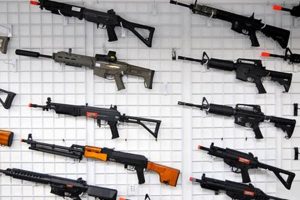 Canada Airsoft: Where to Buy Guns [Guide] | Ultimate Airsoft Guide for Beginners, Tactics & Gear Reviews