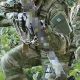 Build the Ultimate Airsoft Woodland Camo Loadout: Tactics & Gear | Ultimate Airsoft Guide for Beginners, Tactics & Gear Reviews