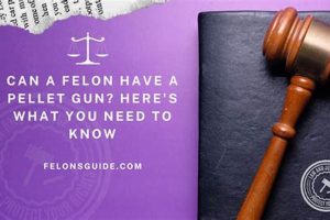 Felon & Airsoft Guns: Can a Felon Own Airsoft Gun? Ultimate Airsoft Guide for Beginners, Tactics & Gear Reviews Felon & Airsoft Guns: Can a Felon Own Airsoft Gun? | Ultimate Airsoft Guide for Beginners, Tactics & Gear Reviews