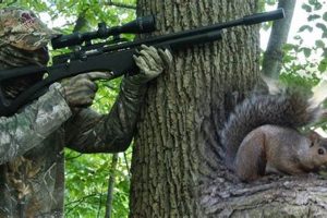 Airsoft Squirrel Control: Is It Legal & Humane? Ultimate Airsoft Guide for Beginners, Tactics & Gear Reviews Airsoft Squirrel Control: Is It Legal & Humane? | Ultimate Airsoft Guide for Beginners, Tactics & Gear Reviews