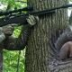 Airsoft Squirrel Control: Is It Legal &amp; Humane? | Ultimate Airsoft Guide for Beginners, Tactics & Gear Reviews