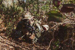 Best Airsoft Arenas in New York: Fields & Tips Ultimate Airsoft Guide for Beginners, Tactics & Gear Reviews Best Airsoft Arenas in New York: Fields & Tips | Ultimate Airsoft Guide for Beginners, Tactics & Gear Reviews