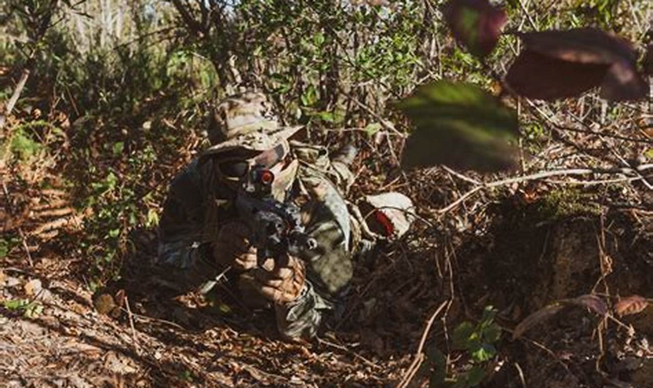 Best Airsoft Arenas in New York: Fields & Tips Ultimate Airsoft Guide for Beginners, Tactics & Gear Reviews Best Airsoft Arenas in New York: Fields & Tips | Ultimate Airsoft Guide for Beginners, Tactics & Gear Reviews