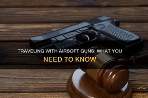 Airsoft Guns: Can You Travel With An Airsoft Gun Legally? Ultimate Airsoft Guide for Beginners, Tactics & Gear Reviews Airsoft Guns: Can You Travel With An Airsoft Gun Legally? | Ultimate Airsoft Guide for Beginners, Tactics & Gear Reviews