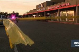 Airsoft Tragedy: Teen Fatally Shot Returning Rifle - Lessons | Ultimate Airsoft Guide for Beginners, Tactics & Gear Reviews