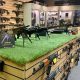 Guide to Airsoft Gun Shops Near You: Find Your Gear! | Ultimate Airsoft Guide for Beginners, Tactics & Gear Reviews