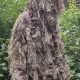 Airsoft Ghillie Suits: Camo Domination in the Field! | Ultimate Airsoft Guide for Beginners, Tactics & Gear Reviews