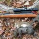 Will Airsoft Guns Kill Squirrels | Ultimate Airsoft Guide for Beginners, Tactics & Gear Reviews