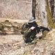 Best Seattle Airsoft Fields: Locations & Games Near You | Ultimate Airsoft Guide for Beginners, Tactics & Gear Reviews