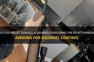 Can Airsoft Guns - Enough Power to Kill a Squirrel? Guide Ultimate Airsoft Guide for Beginners, Tactics & Gear Reviews Can Airsoft Guns - Enough Power to Kill a Squirrel? Guide | Ultimate Airsoft Guide for Beginners, Tactics & Gear Reviews