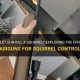 Can Airsoft Guns - Enough Power to Kill a Squirrel? Guide | Ultimate Airsoft Guide for Beginners, Tactics & Gear Reviews