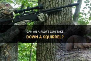 Can Airsoft Guns Kill Squirrels? Risks & Safety Ultimate Airsoft Guide for Beginners, Tactics & Gear Reviews Can Airsoft Guns Kill Squirrels? Risks & Safety | Ultimate Airsoft Guide for Beginners, Tactics & Gear Reviews