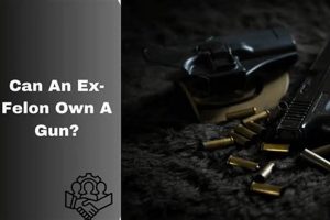 Can A Felon Own A Airsoft Gun Ultimate Airsoft Guide for Beginners, Tactics & Gear Reviews Can A Felon Own A Airsoft Gun | Ultimate Airsoft Guide for Beginners, Tactics & Gear Reviews