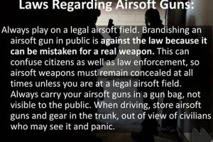 Nevada Airsoft Laws: Know Your Rights & Rules Ultimate Airsoft Guide for Beginners, Tactics & Gear Reviews Nevada Airsoft Laws: Know Your Rights & Rules | Ultimate Airsoft Guide for Beginners, Tactics & Gear Reviews