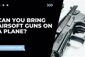 Can You Bring Airsoft Guns On A Plane Ultimate Airsoft Guide for Beginners, Tactics & Gear Reviews Can You Bring Airsoft Guns On A Plane | Ultimate Airsoft Guide for Beginners, Tactics & Gear Reviews
