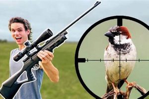 Is Target Shooting Killing Birds with Airsoft Gun Wrong? | Ultimate Airsoft Guide for Beginners, Tactics & Gear Reviews