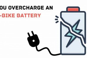 Airsoft Battery Overcharge: Can You Do It? + Prevention Ultimate Airsoft Guide for Beginners, Tactics & Gear Reviews Airsoft Battery Overcharge: Can You Do It? + Prevention | Ultimate Airsoft Guide for Beginners, Tactics & Gear Reviews