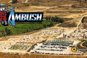 Action Shots: Ambush Paintball & Airsoft Park Photos Fun Ultimate Airsoft Guide for Beginners, Tactics & Gear Reviews Action Shots: Ambush Paintball & Airsoft Park Photos Fun | Ultimate Airsoft Guide for Beginners, Tactics & Gear Reviews