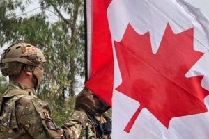 Guide to Airsoft in Canada Laws: Play Safe &amp; Legal | Ultimate Airsoft Guide for Beginners, Tactics & Gear Reviews