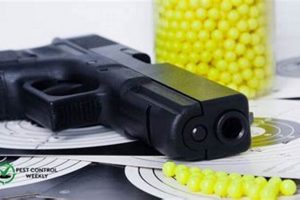 Airsoft Guns: Can You Kill a Squirrel? [Risks & Laws] | Ultimate Airsoft Guide for Beginners, Tactics & Gear Reviews