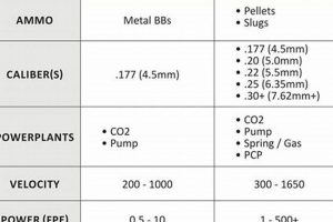 Airgun Showdown: Pellet vs BB vs Airsoft - Which is Best? | Ultimate Airsoft Guide for Beginners, Tactics & Gear Reviews