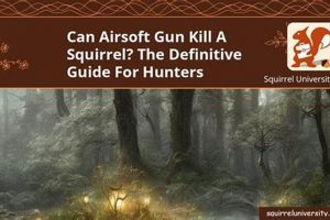 Airsoft Danger: Will Airsoft Kill A Squirrel? & Safety Tips | Ultimate Airsoft Guide for Beginners, Tactics & Gear Reviews