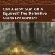 Airsoft Danger: Will Airsoft Kill A Squirrel? & Safety Tips | Ultimate Airsoft Guide for Beginners, Tactics & Gear Reviews