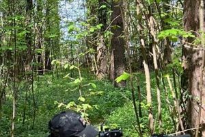 Your Guide: Airsoft Boston Fun + Fields, Near You! Ultimate Airsoft Guide for Beginners, Tactics & Gear Reviews Your Guide: Airsoft Boston Fun + Fields, Near You! | Ultimate Airsoft Guide for Beginners, Tactics & Gear Reviews