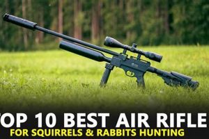 Airsoft Guns: Can a Pellet Really Kill a Rabbit? Guide Ultimate Airsoft Guide for Beginners, Tactics & Gear Reviews Airsoft Guns: Can a Pellet Really Kill a Rabbit? Guide | Ultimate Airsoft Guide for Beginners, Tactics & Gear Reviews