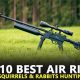 Airsoft Guns: Can a Pellet Really Kill a Rabbit? Guide | Ultimate Airsoft Guide for Beginners, Tactics & Gear Reviews