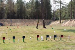 Find: Airsoft Shooting Ranges Near Me (Local Fun!) | Ultimate Airsoft Guide for Beginners, Tactics & Gear Reviews