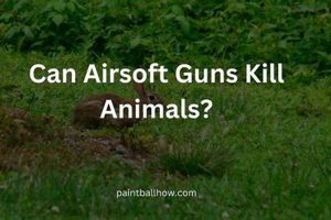 Airsoft Accuracy: Can Airsoft Guns *Really* Kill Rats? [Truth] | Ultimate Airsoft Guide for Beginners, Tactics & Gear Reviews