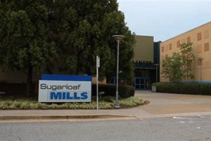 Airsoft at Sugarloaf Mills: Games & Tactics Guide | Ultimate Airsoft Guide for Beginners, Tactics & Gear Reviews