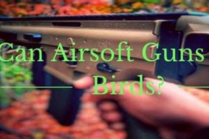 Can Airsoft Guns Kill Birds? Risks & Prevention Guide | Ultimate Airsoft Guide for Beginners, Tactics & Gear Reviews